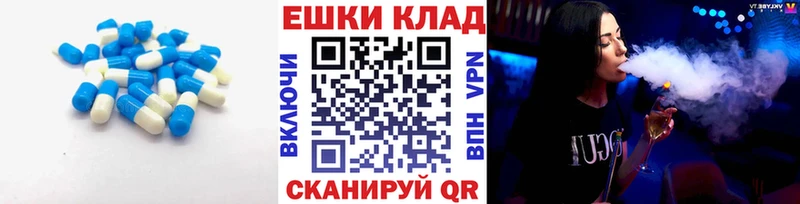 что такое   Козельск  KRAKEN ТОР  ЭКСТАЗИ Philipp Plein 