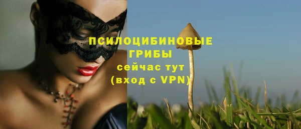 ГАЛЛЮЦИНОГЕННЫЕ ГРИБЫ Балабаново