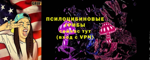 ГАЛЛЮЦИНОГЕННЫЕ ГРИБЫ Балабаново